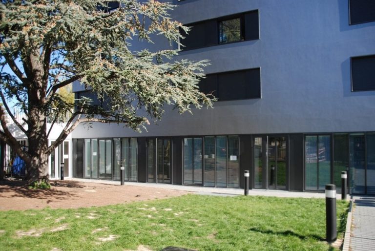 DSC 0211 1024x685 1 768x514