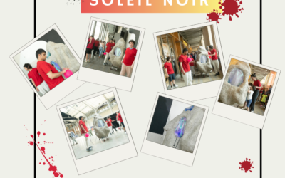 Développement du projet Soleil Noir avec les partenaires